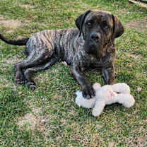 Thumbnail photo of Nora #4