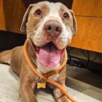 Thumbnail photo of MAX #2