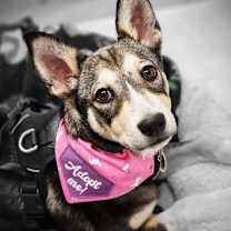 Thumbnail photo of Olive #1