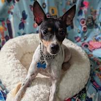 Thumbnail photo of Bert #1