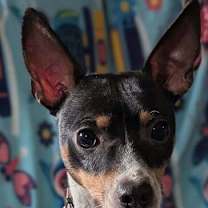 Thumbnail photo of Bert #2