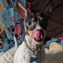 Thumbnail photo of Bert #3