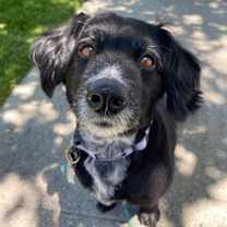 Thumbnail photo of Bailey Bae #2