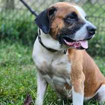 Thumbnail photo of Roman #4