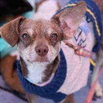 Thumbnail photo of Forsaken #1