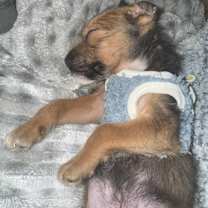 Thumbnail photo of ClickPay #2