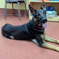 Thumbnail photo of Filo #3