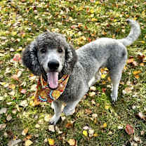 Thumbnail photo of Teagan #2