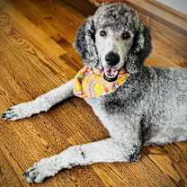 Thumbnail photo of Teagan #3