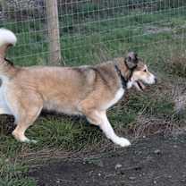 Thumbnail photo of Minnie #1