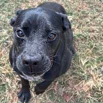 Thumbnail photo of Patricia #2