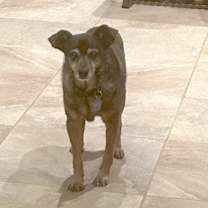 Thumbnail photo of ALLEN (US, New Mex) yo #4