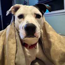 Thumbnail photo of Jolene #2