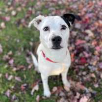 Thumbnail photo of Jolene #3