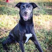 Thumbnail photo of Daze #1