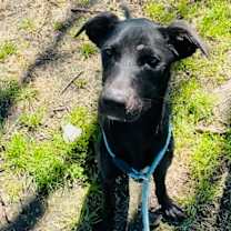 Thumbnail photo of Daze #2