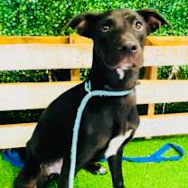 Thumbnail photo of Daze #3