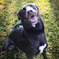 Thumbnail photo of Daze #4