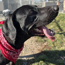 Thumbnail photo of Wilbur #1