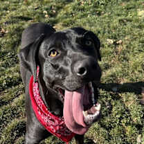 Thumbnail photo of Wilbur #2