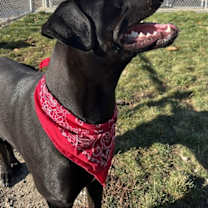 Thumbnail photo of Wilbur #3