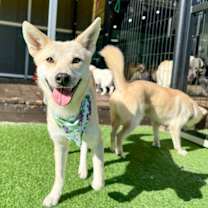 Thumbnail photo of Youja #1