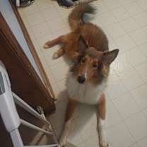 Thumbnail photo of Theodore #4