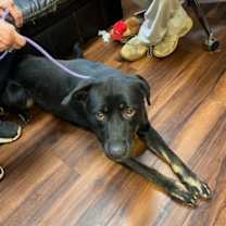 Thumbnail photo of Hannah! #3