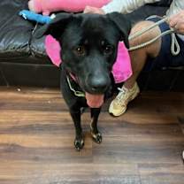 Thumbnail photo of Hannah! #4