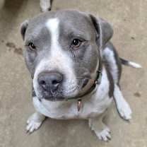 Thumbnail photo of Hank #2