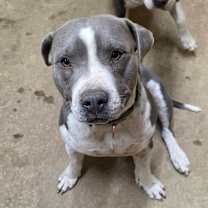 Thumbnail photo of Hank #3