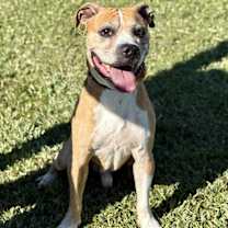 Thumbnail photo of Bane #2