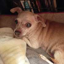 Thumbnail photo of Jingles #1