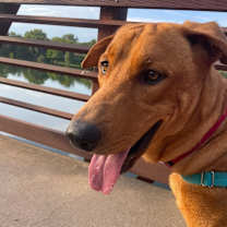 Thumbnail photo of Noble #2