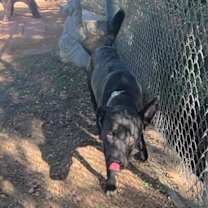 Thumbnail photo of Bud #3