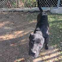 Thumbnail photo of Bud #4