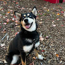 Thumbnail photo of Stella #4