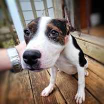 Thumbnail photo of Emelia (Emmy) #1