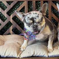 Thumbnail photo of Penelope #2