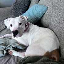 Thumbnail photo of Pearl #1