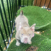 Thumbnail photo of Monday #1