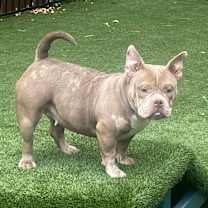 Thumbnail photo of Monday #2