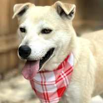 Thumbnail photo of Tito #2