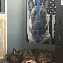 Thumbnail photo of Behr #1