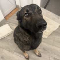 Thumbnail photo of Behr #3