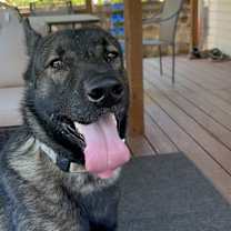 Thumbnail photo of Behr #4