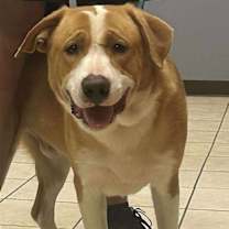 Thumbnail photo of Arthur #1