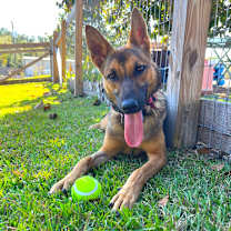 Thumbnail photo of Zara #1