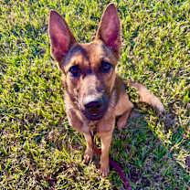 Thumbnail photo of Zara #2