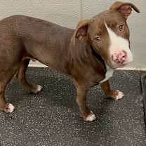 Thumbnail photo of LUKE #4